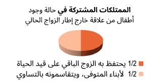 مخطط أطفال الممتلكات المشتركة خارج الزواج