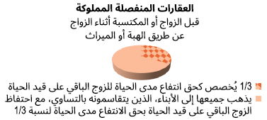 مخطط منفصل للعقار